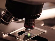 ৩১ ল্যাব টেকনিশিয়ান লাগবে পশ্চিম বর্ধমান জেলায় Purulia, State Govt Jobs, Purulia Jobs