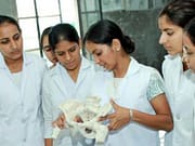 দার্জিলিং জেলায় স্বাস্থ্য ও পরিবার কল্যাণে নানা পদে ৫০ নিয়োগ Current Jobs in West Bengal, West Bengal Government Job, South 24 Parganas Govt Job,