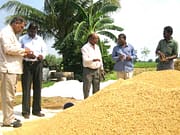 উঃ ২৪ পরগনায় ৪২ ব্লক ও অ্যাসিস্ট্যান্ট টেকনোলজি ম্যানেজার WB Jobs, North 24 Pgs Jobs, Jobs in West Bengal,