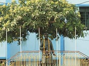 নৈহাটী মিউনিসিপ্যালিটিতে ৩০ ক্লার্ক, শিক্ষক, গ্রুপ-ডি, স্বাস্থ্যকর্মী WB Govt Job