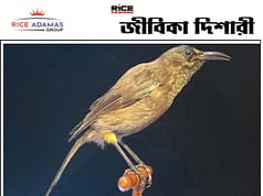 কয়েক দশকে ৩০০ কোটি পাখি বিলুপ্ত হয়েছে