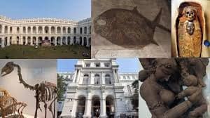 ভারতীয় জাদুঘরে টাইপিস্ট নিয়োগ