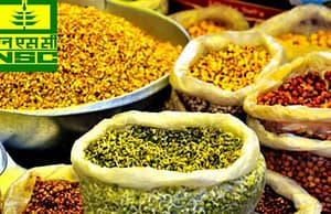 সিডস কর্পোরেশনে ট্রেনি Seed Corporation Recruitment