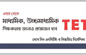 মাধ্যমিক, উচ্চমাধ্যমিক স্তরেও আসছে টেট !