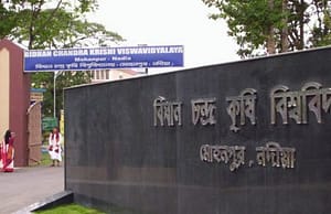 বিধানচন্দ্র কৃষি বিশ্ববিদ্যালয়ে ২০ পিজি ফেলো