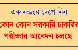 আবেদন চলছে সরাসরি অনলাইনে govt job application