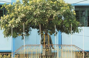 নৈহাটী মিউনিসিপ্যালিটিতে ৩০ ক্লার্ক, শিক্ষক, গ্রুপ-ডি, স্বাস্থ্যকর্মী WB Govt Job