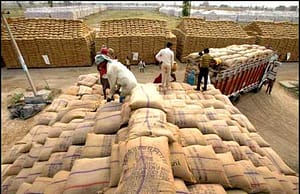 সেন্ট্রাল ওয়্যারহাউসে ৫৭১ ম্যানেজমেন্ট ট্রেনি, অ্যাকাউন্ট্যান্ট, ট্র্যান্সলেটর Central warehouse