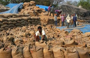 ফুড কর্পোরেশনে ৩৩০ ম্যানেজার FCI