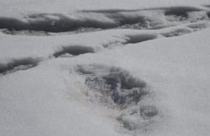 কারেন্ট অ্যাফেয়ার্স ৩০ এপ্রিল, ২০১৯ Current Affairs 30 April 2019