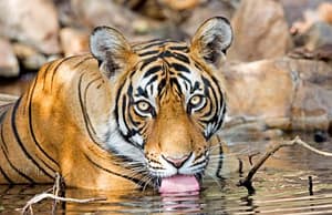 কারেন্ট অ্যাফেয়ার্স ২৭ নভেম্বর ২০২২ 29th July Current Affairs