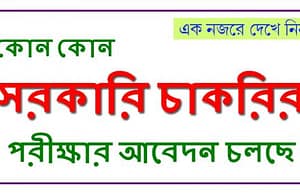 কোথায় কী চাকরির আবেদন অনলাইন বা অফলাইনে Exam Online Application