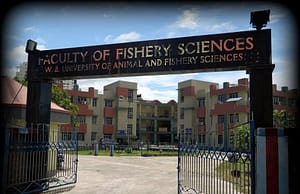 ইউনিভার্সিটি অব অ্যানিমাল অ্যান্ড ফিশারিজ-এ নিয়োগ