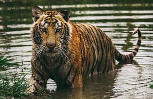 কারেন্ট অ্যাফেয়ার্স ৬ মে ২০২০