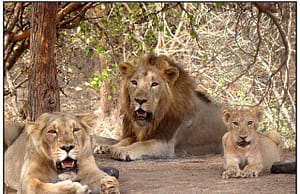 কারেন্ট অ্যাফেয়ার্স ১০ জুন ২০২০