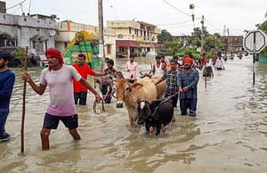 কারেন্ট অ্যাফেয়ার্স ১২ নভেম্বর ২০২১ daily current affairs