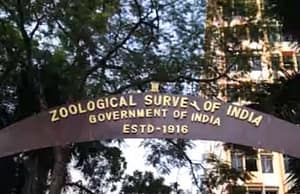 জুলজিক্যাল সার্ভেতে কর্মী নিয়োগ Zoological Survey of India Recruitment 2025