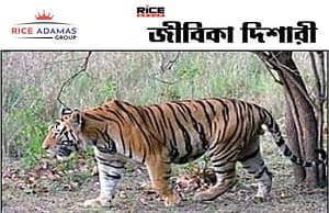 কারেন্ট অ্যাফেয়ার্স ১৬.৯.২০২৫