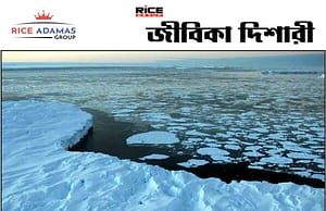 অ্যান্টার্কটিকায় গভীর সমুদ্রের তলদেশে মাছেদের নতুন আবাসস্থলের সন্ধান